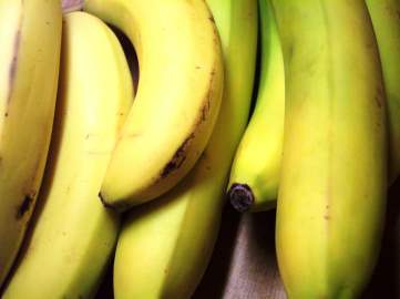 Frische Bananen für die Knochen