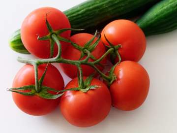 Tomaten gegen Infektionen