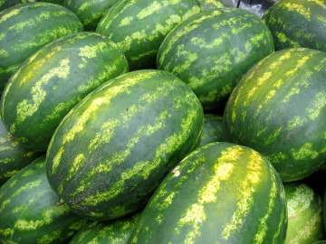 Wassermelone enthält Vitamin C